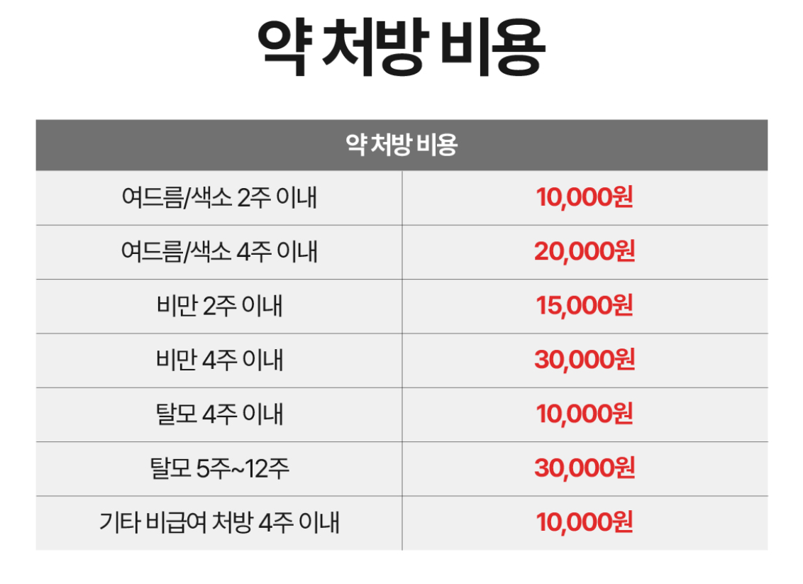 약 처방 비용